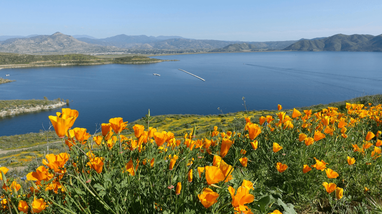 Halal Business Financing in California (2026 Guide)