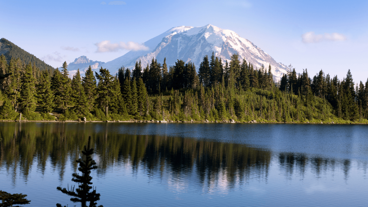 Islamic Wills in Washington State (2026): What Muslims Need to Know