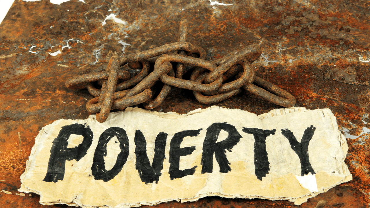 Best Muslim Charities for US Domestic Poverty (2026)
