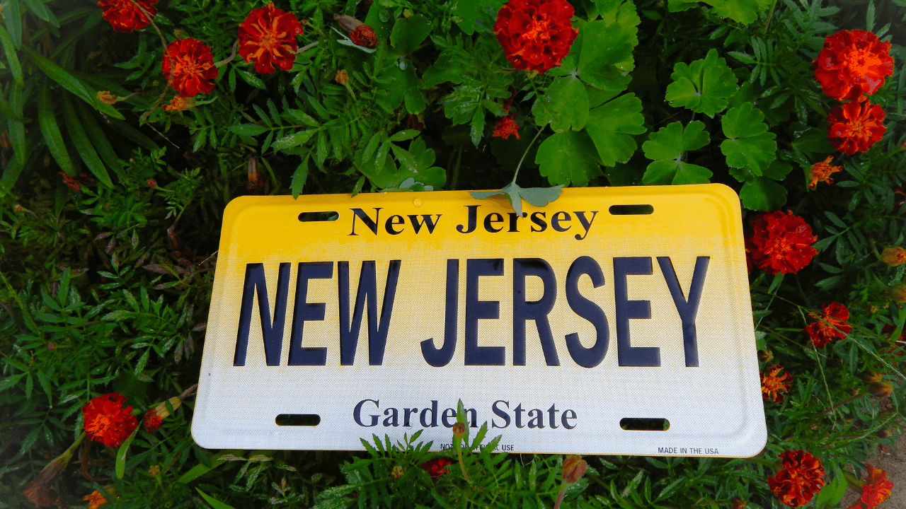 Where to Give Zakat in New Jersey (2026 Guide)