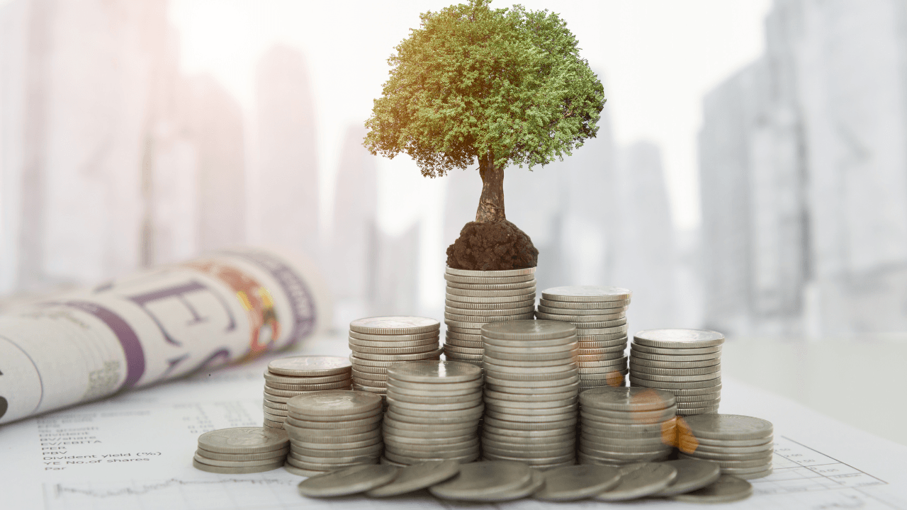 Moya Financial Term Deposit Review (2026): Are These Halal GICs Worth It?
