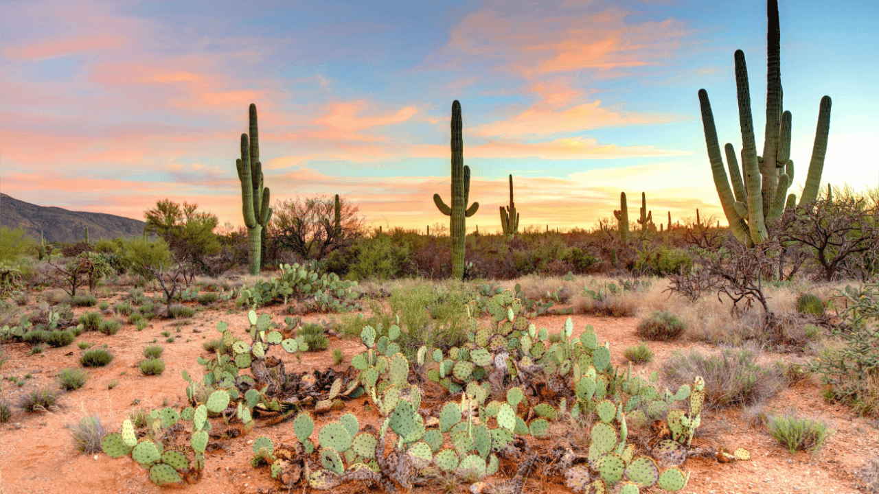 Halal Home Financing in Arizona for Muslim Homebuyers 2026