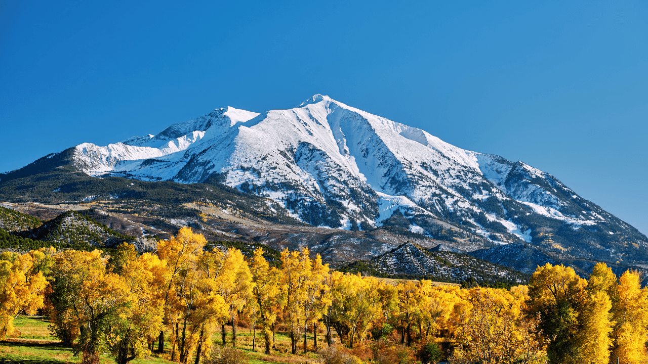Halal Car Financing in Colorado (2026 Guide)