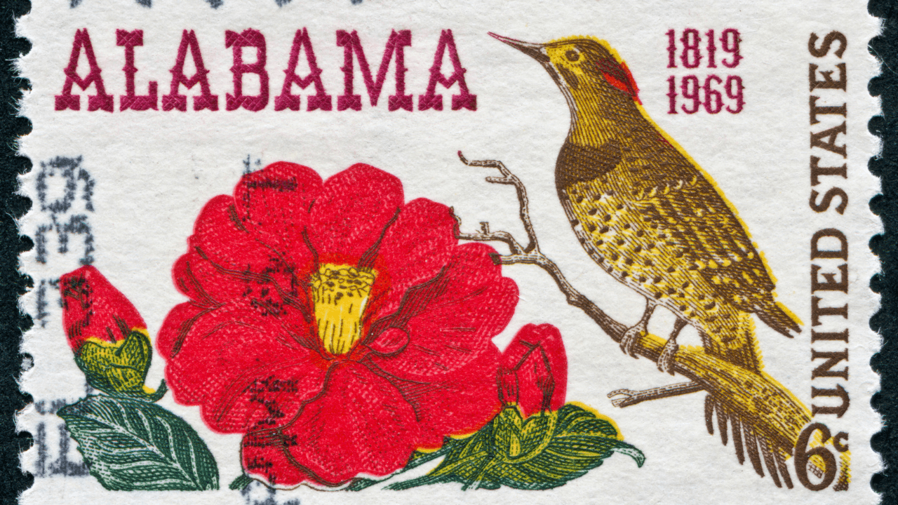 Halal Car Financing in Alabama (2026 Guide)
