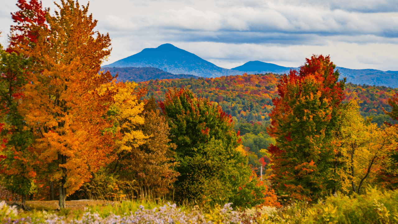 Halal Home Financing in Vermont for Muslim Homebuyers (2026)