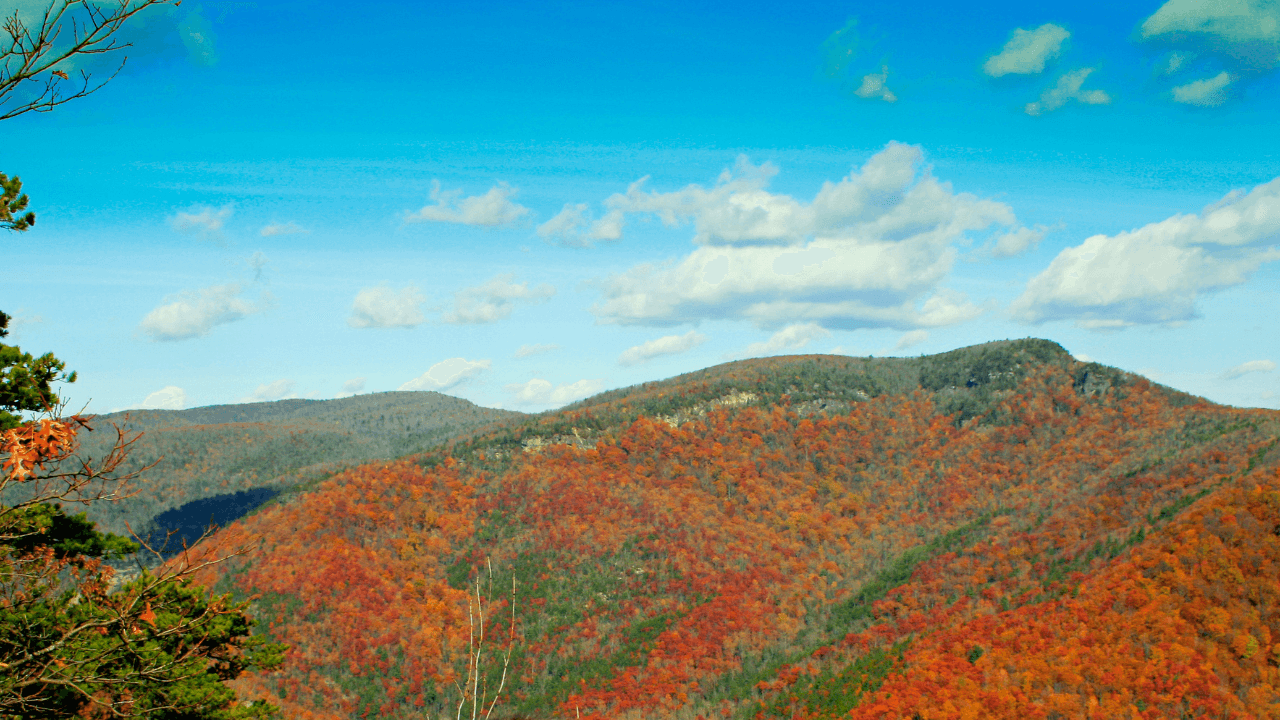 Halal Mortgage North Carolina (2026 Guide for Muslim Homebuyers)