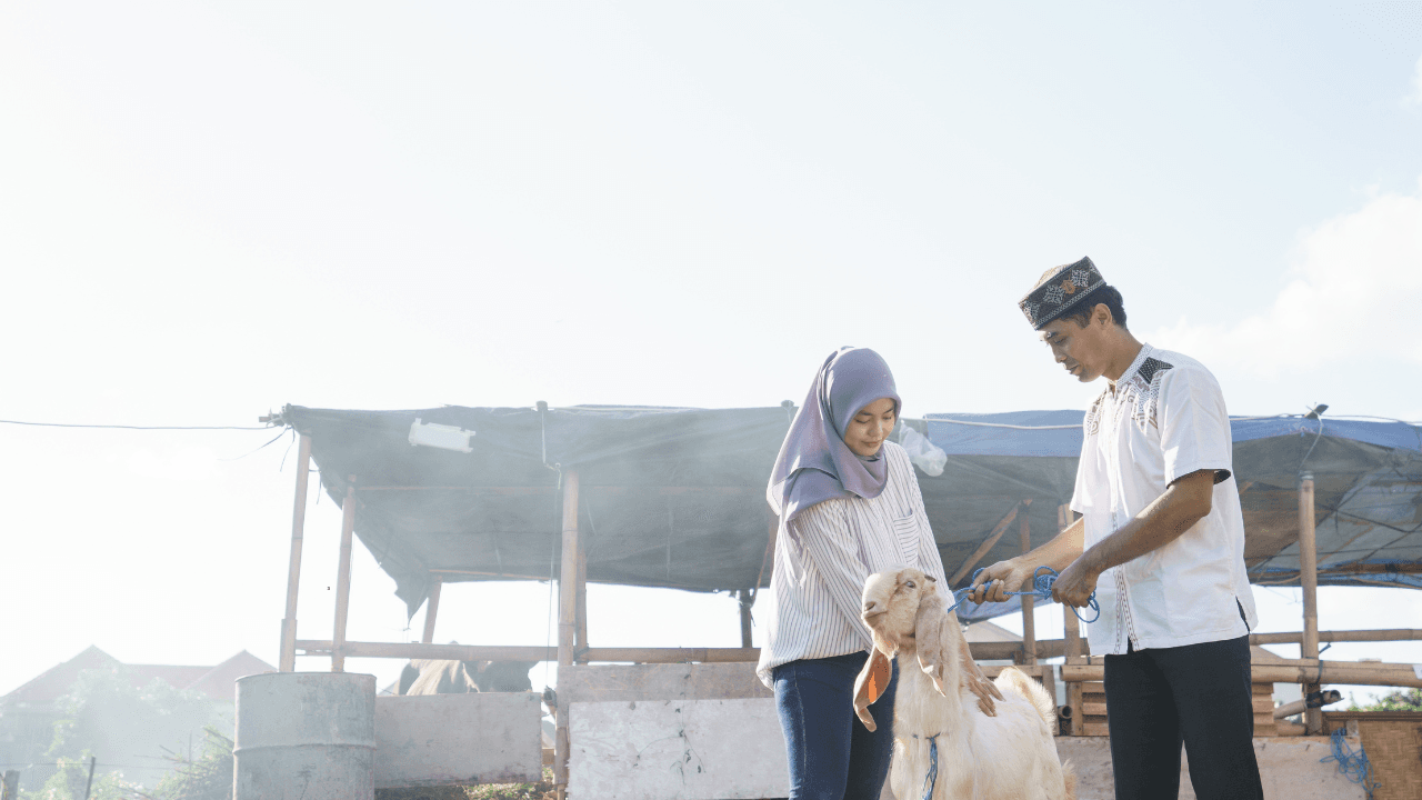Qurbani 2026: U.S. Muslim Guide to the Sacrifice, Who Owes It, and Where to Give